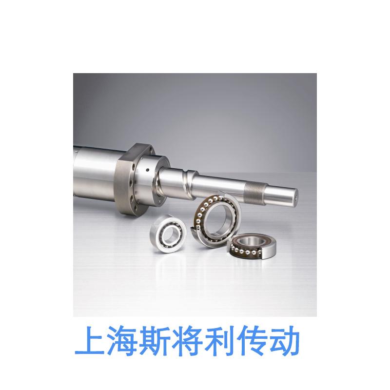 WBK30DFD-31H-NSK重载支撑单元